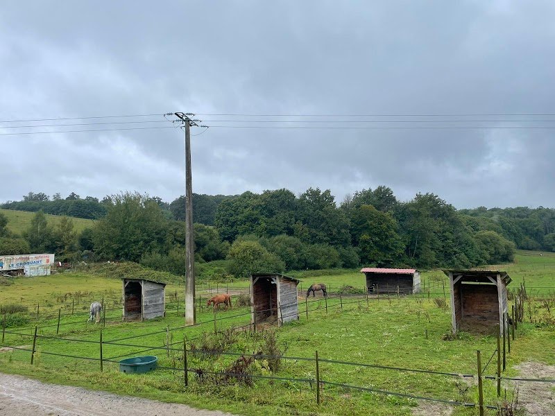 Les Ecuries Du Renan - photo 3