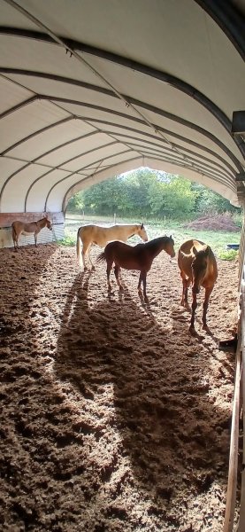 LES ÉCURIES DE LA GARTEMPE