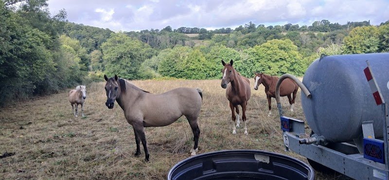 LES ÉCURIES DE LA GARTEMPE - photo 3