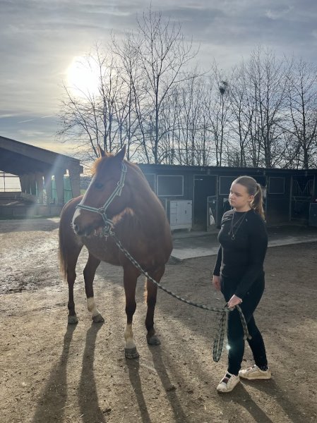 Les Ecuries Du Bois Joli - photo 3