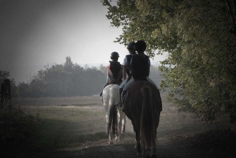 Haras de Marigny - photo 2