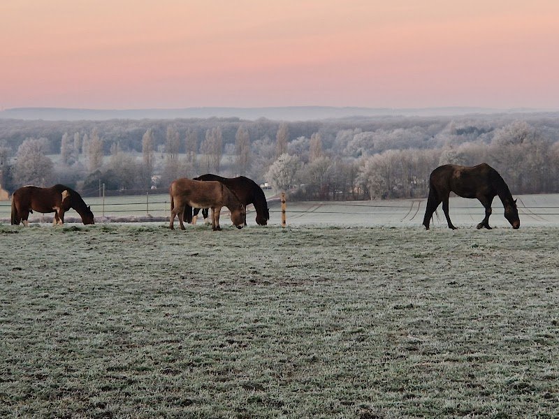 écurie des étangs - photo 1