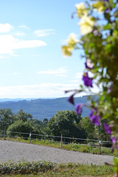 HARAS DES ALLEES - photo 1