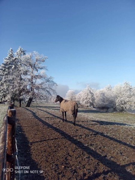 Ecurie Mermel - Lemagnen