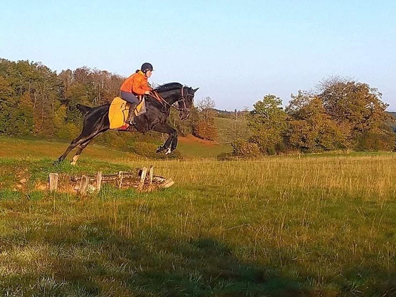 Ecurie Mermel - Lemagnen - photo 2