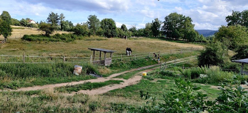 Écurie de La Dinasse - photo 1