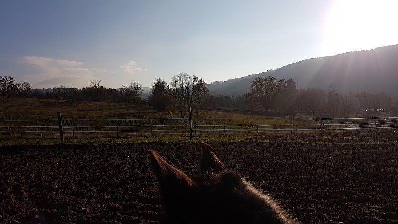 Écurie de La Dinasse - photo 2