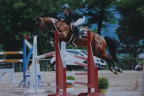 Ecuries de Chalendrat - photo 1