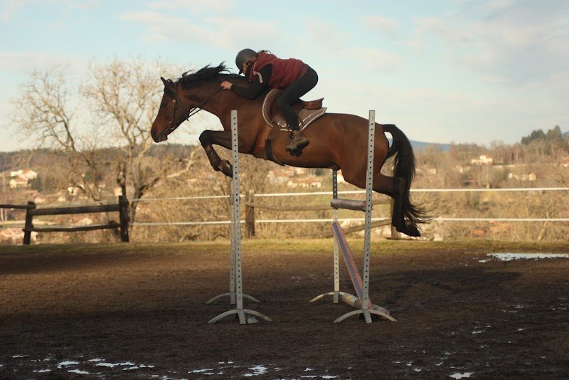 Ecuries de Chalendrat - photo 2