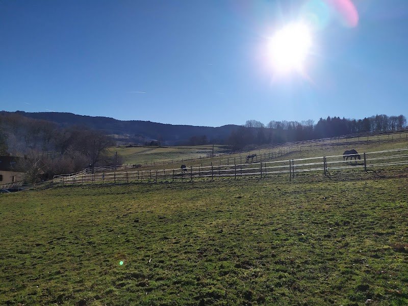 Ecuries de Chalendrat - photo 3