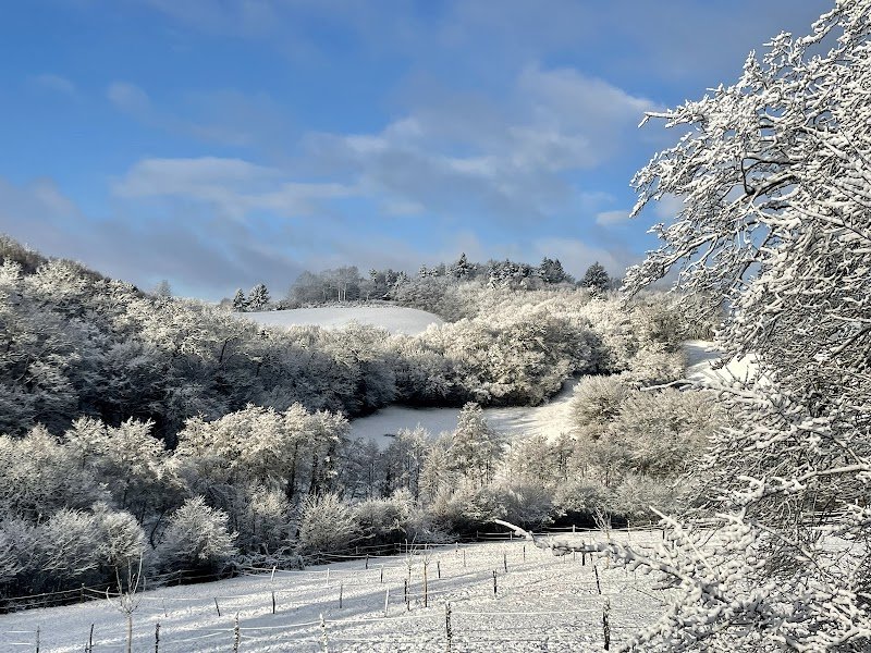 Écurie des Vergnes - photo 2