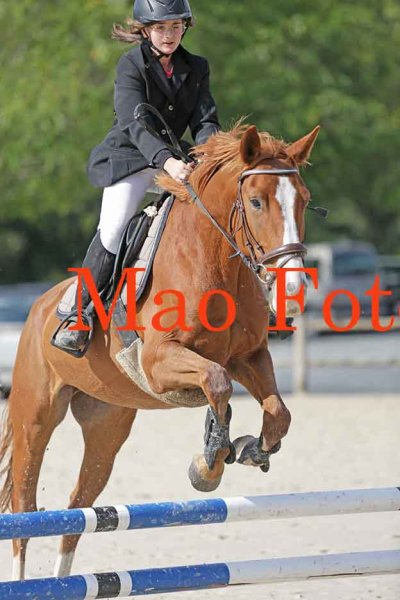 écurie du petit cézarin - photo 2