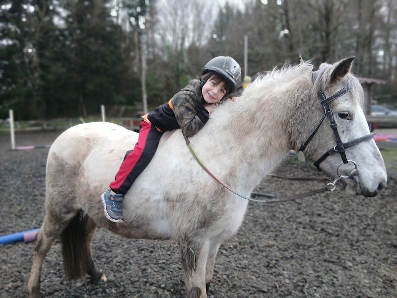écurie du petit cézarin - photo 3