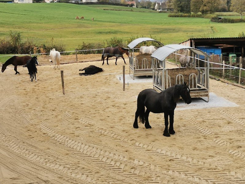 Les écuries d'Esmoles, écurie de propriétaires - photo 3