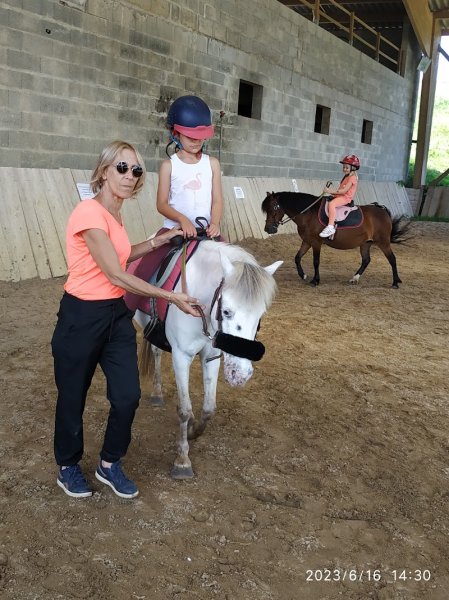 Écurie Cavalers - photo 3