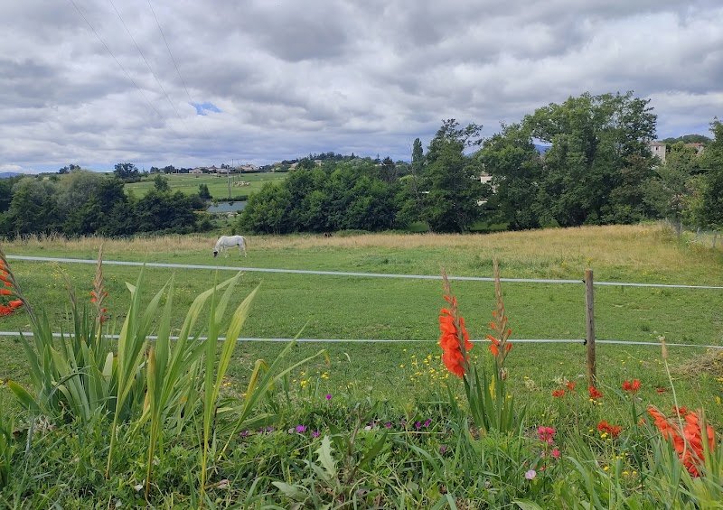 Ecurie De Preynoux - photo 2