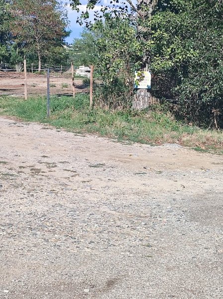 Écurie Soleil 'Dad - photo 3