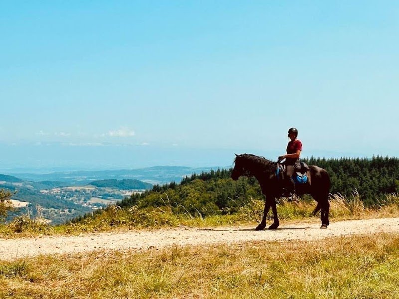 La maison des poneys & des chevaux