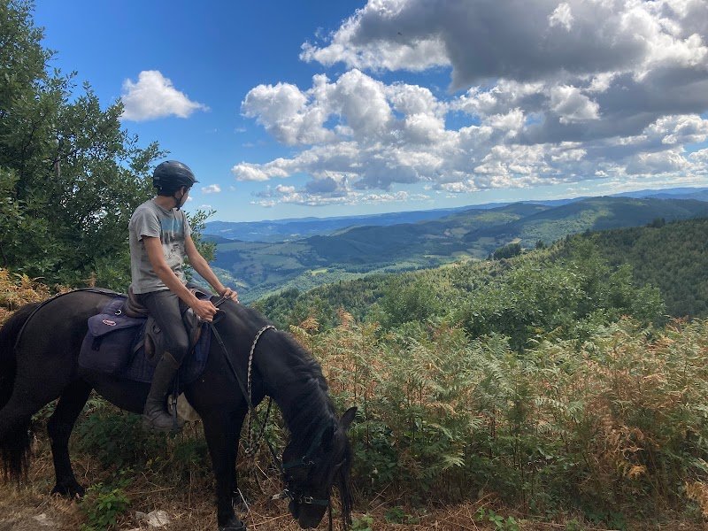 La maison des poneys & des chevaux - photo 2