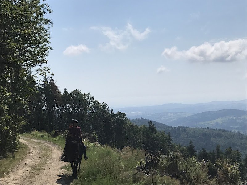 La maison des poneys & des chevaux - photo 3