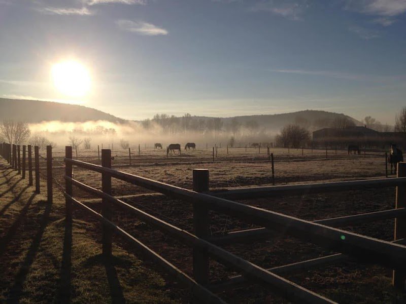 Écurie Saint Martin