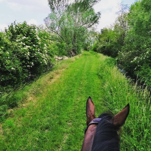 Ride Is Life Stables - photo 3
