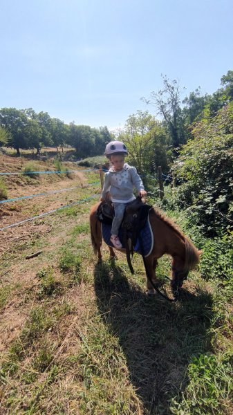 Écurie de Gulizar - photo 2