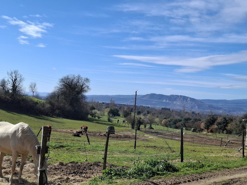 Écurie des Selles - photo 1