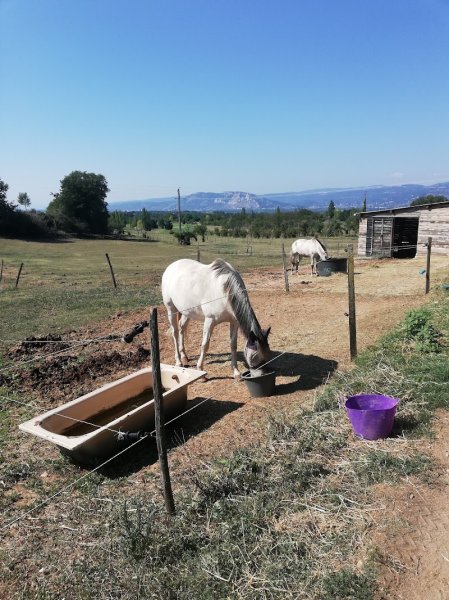 Écurie des Selles - photo 2