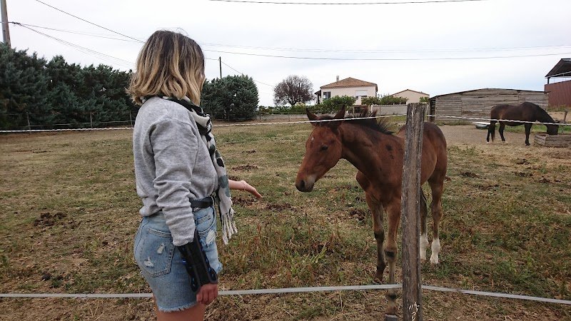 Écurie des Selles - photo 3