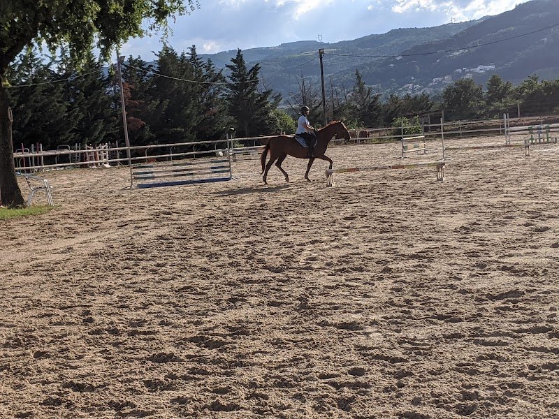 Centre Équestre LA SYRAH - photo 2