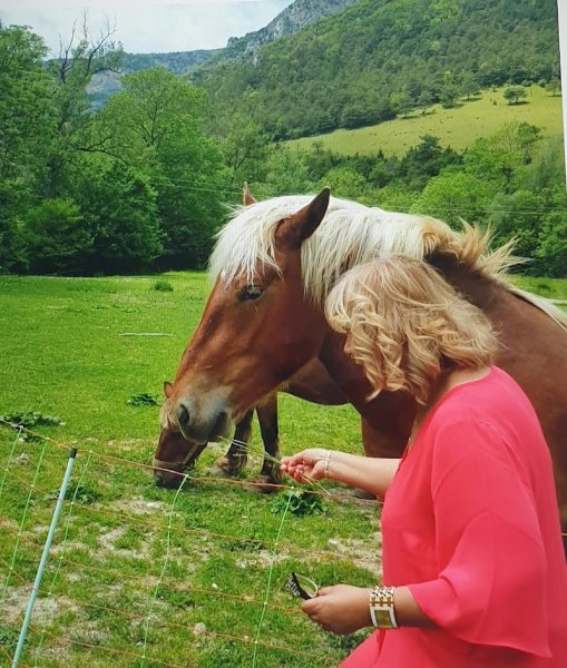 Centre Équestre LA SYRAH - photo 3