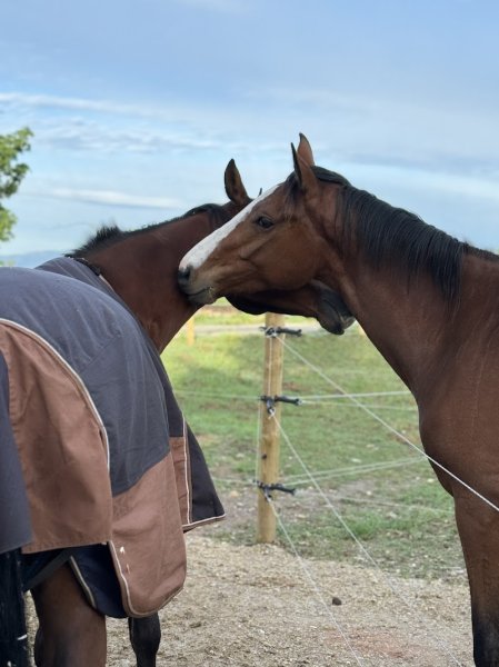 ECURIE R&M - photo 2