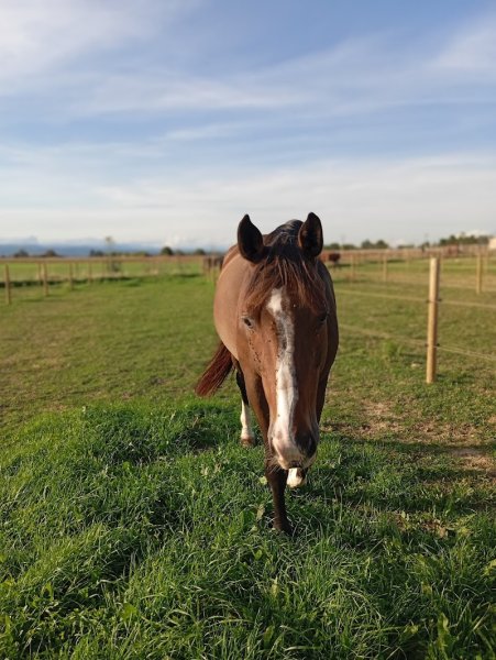 ECURIE R&M - photo 3