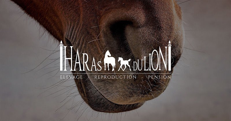 Haras du Lion Drôme - photo 1