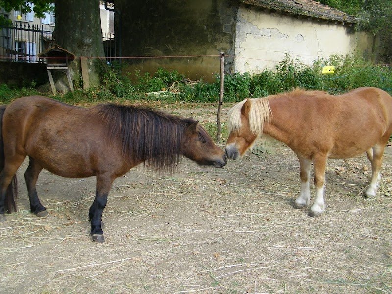 Les Ecuries de la Magnanerie - photo 1