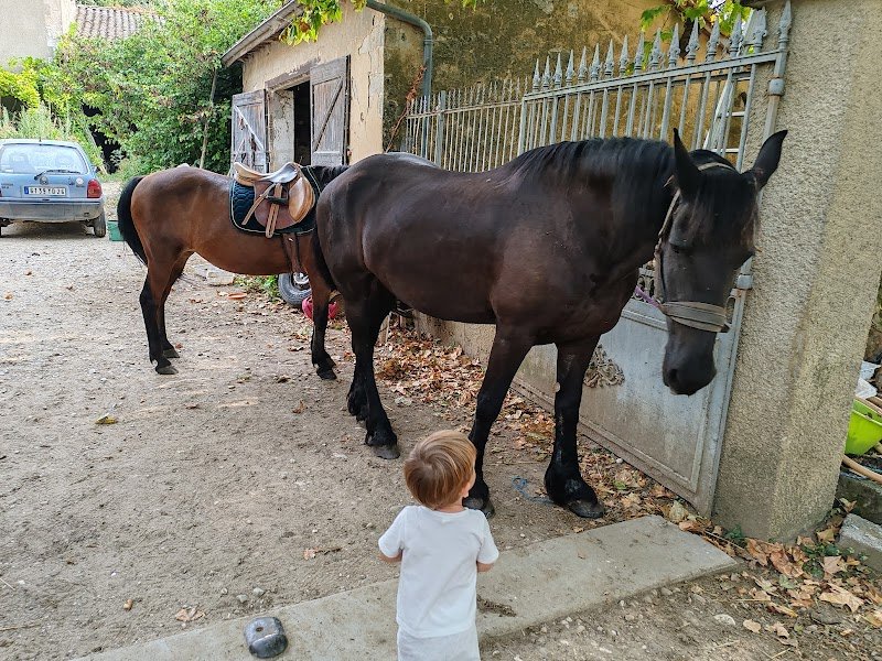 Les Ecuries de la Magnanerie - photo 2