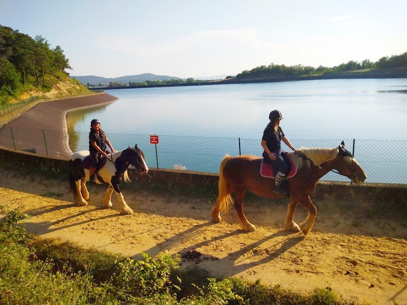 Ecuries des Moulins - photo 2