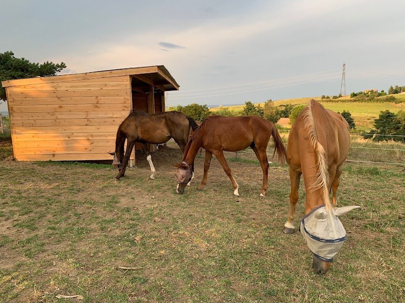 Ecurie de Beyrieux - AB dressage