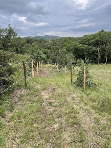 Ecurie de Beyrieux - AB dressage - photo 2
