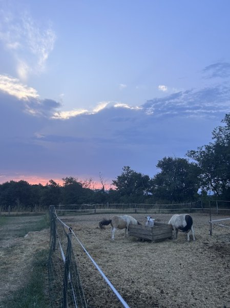 Ecurie équation - photo 1