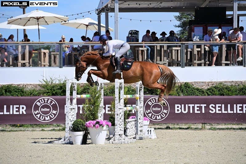 Ecurie Maison Maurin - photo 2