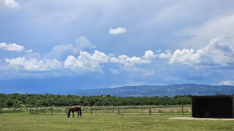 Ecurie Maison Maurin - photo 3