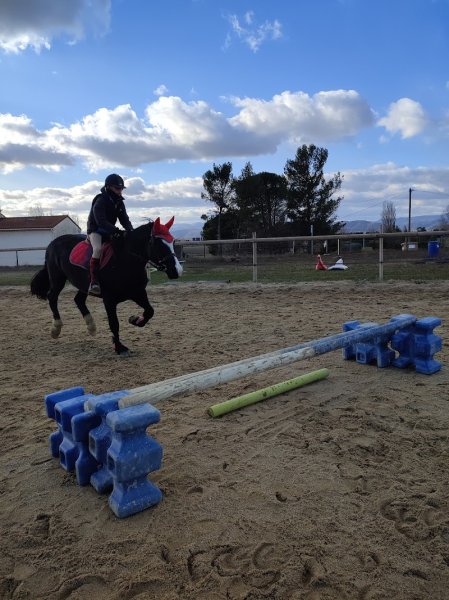 Cavaliers de la cabriole - photo 2