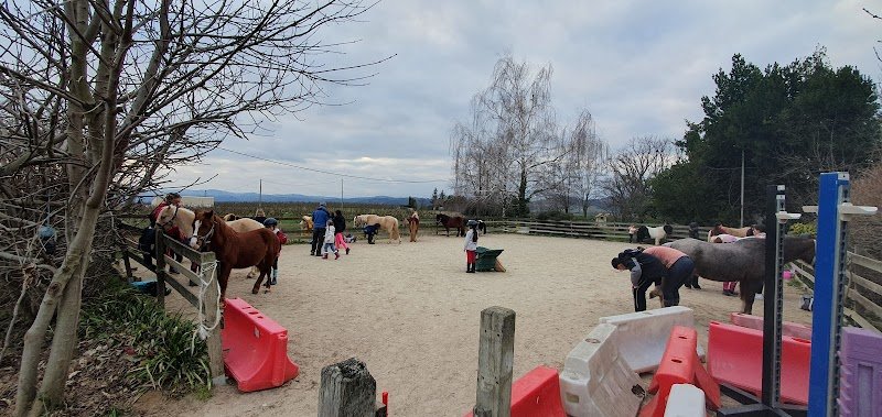 Ecuries des Chaux - photo 3