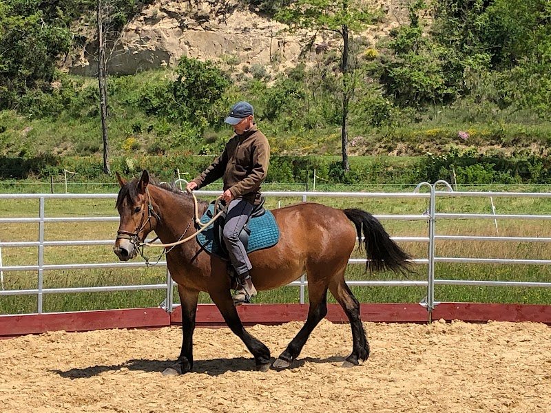 Ecurie de L'Olagnat - photo 2
