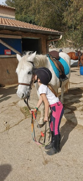 Ecuries Lecomte Lievaux