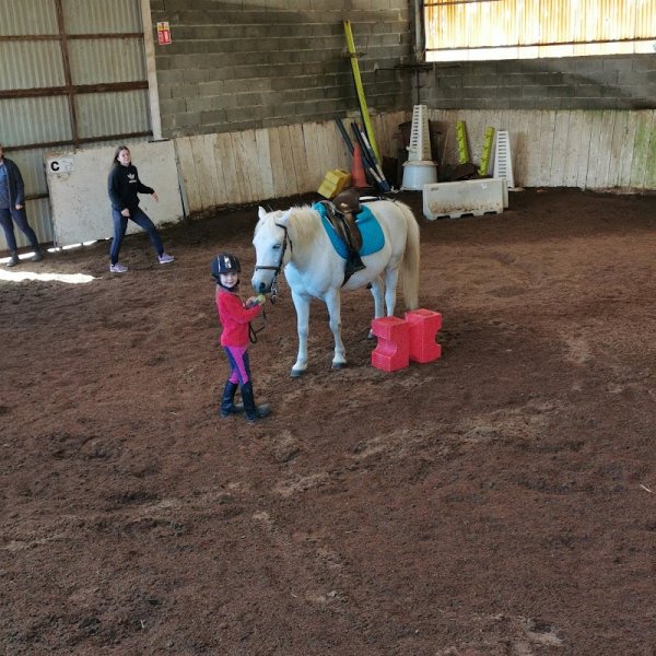 Ecuries Lecomte Lievaux - photo 2