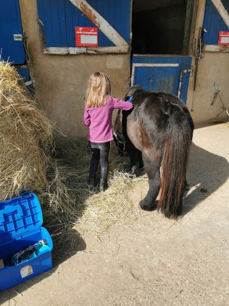 Ecuries Lecomte Lievaux - photo 3