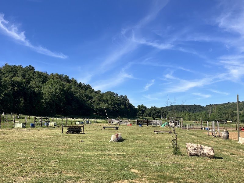 Écurie LS - photo 1